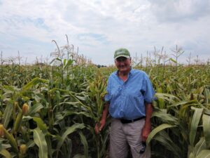 Man in corn field